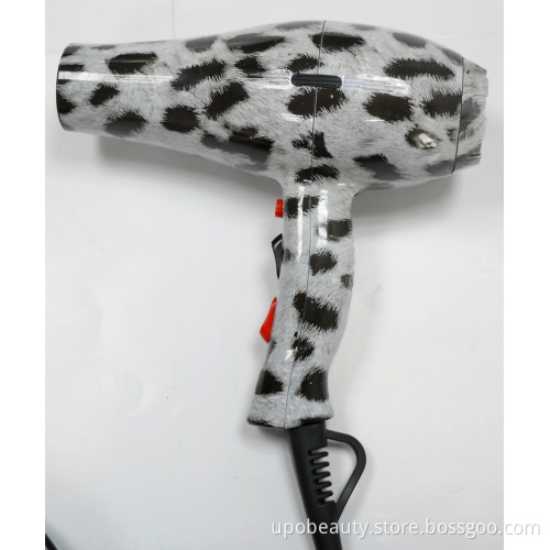 Professional 2000W Hair Dryer with CE
